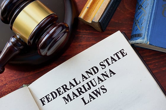 Federal_State Marijuana Law